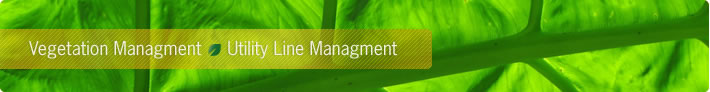 Vegetation Management Utility Line Management