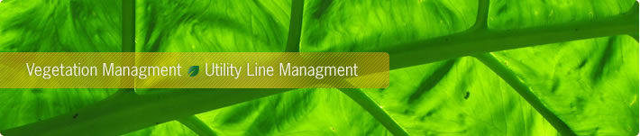 Vegetation Management Utility Line Management